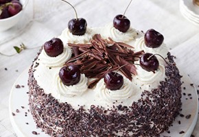 Recipes to Stir the Senses