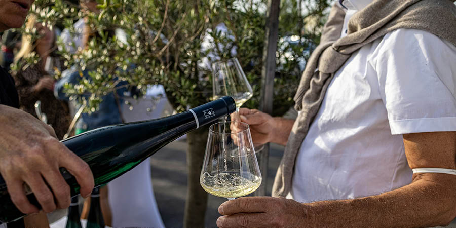 Savouring the wines of northern Italy