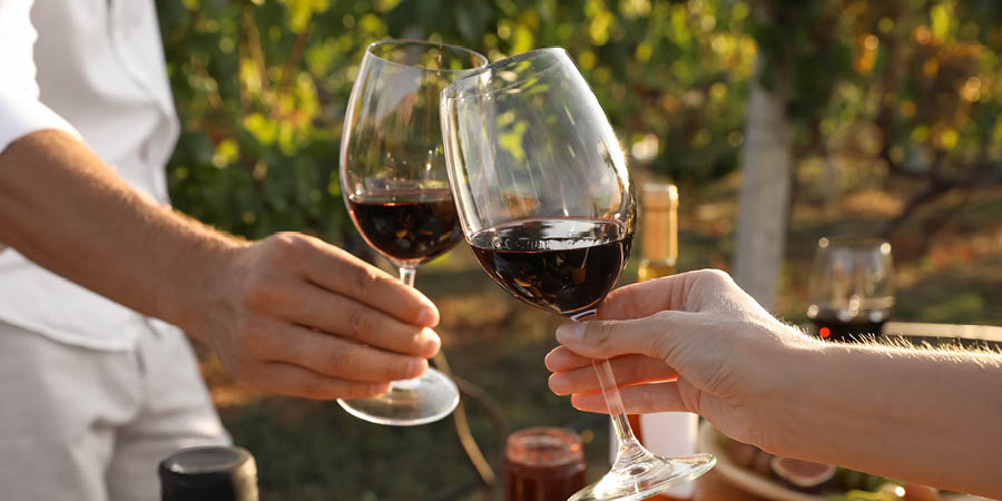 Exploring South Africa’s beautiful winelands