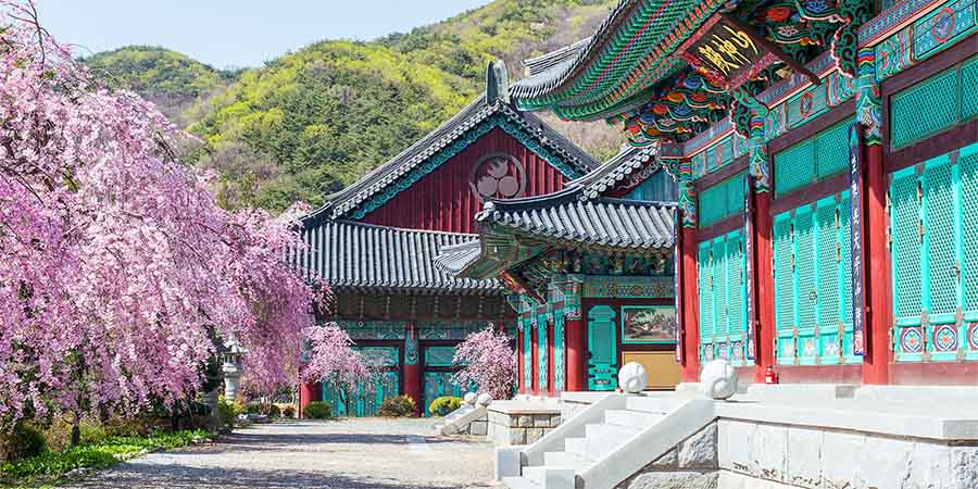 Uncovering dynastic heritage at Seoul’s historic palaces